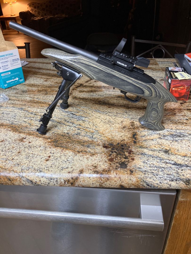 Ruger 10/22 Charger Upgraded 2