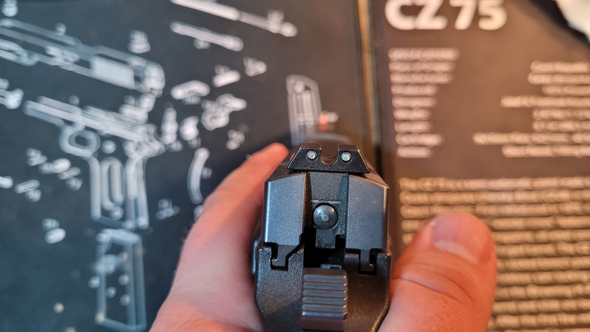 CZ P09 Gen1 2