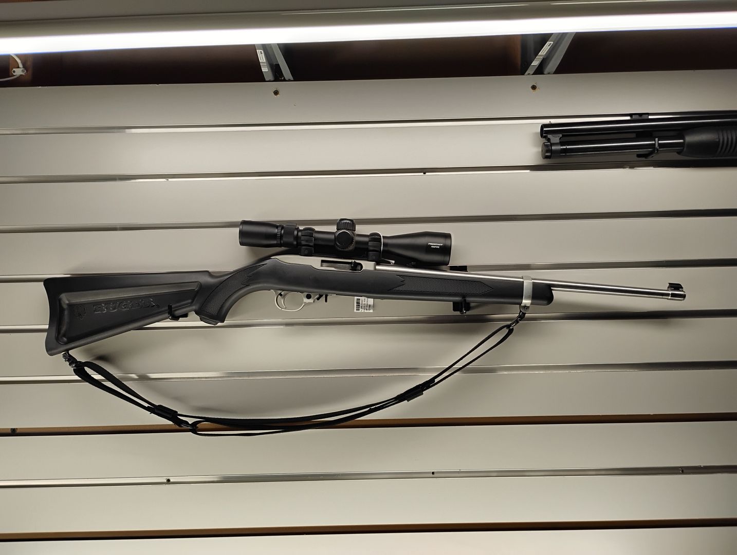 Ruger 10/22 Stainless Carbine Rifle