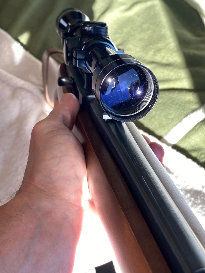 Ruger 10-22 Semi-Auto.  3