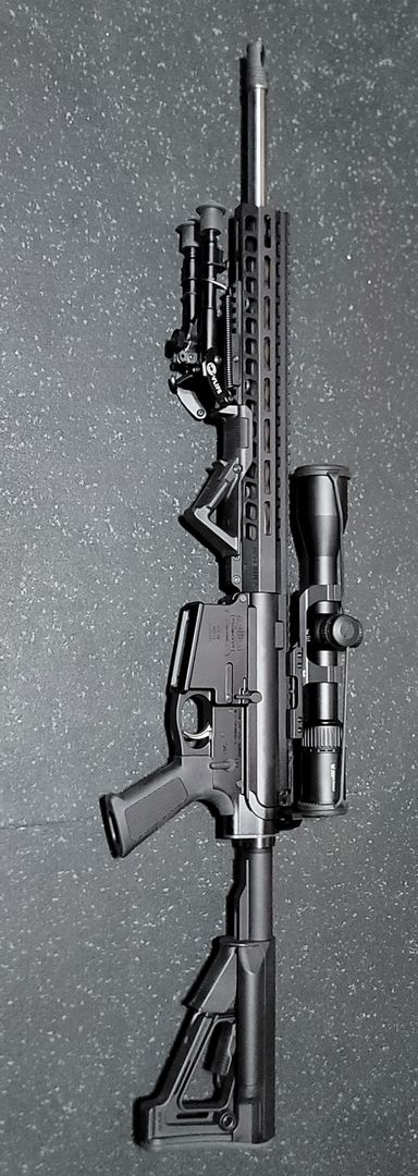 AR10 in great condition 2