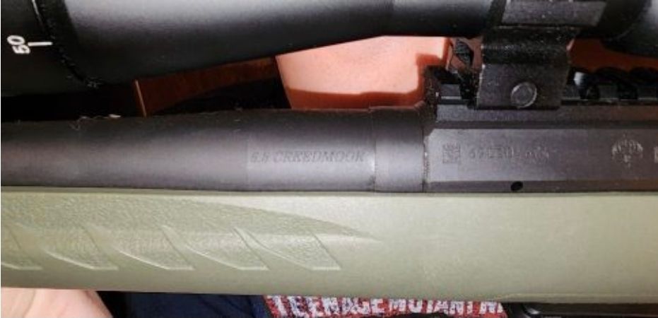 Ruger American 