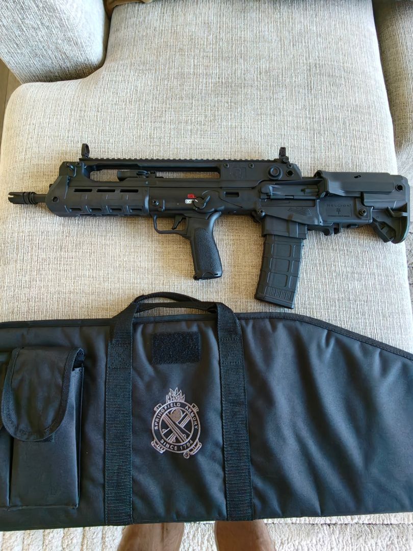 Springfield Armory Hellion 2