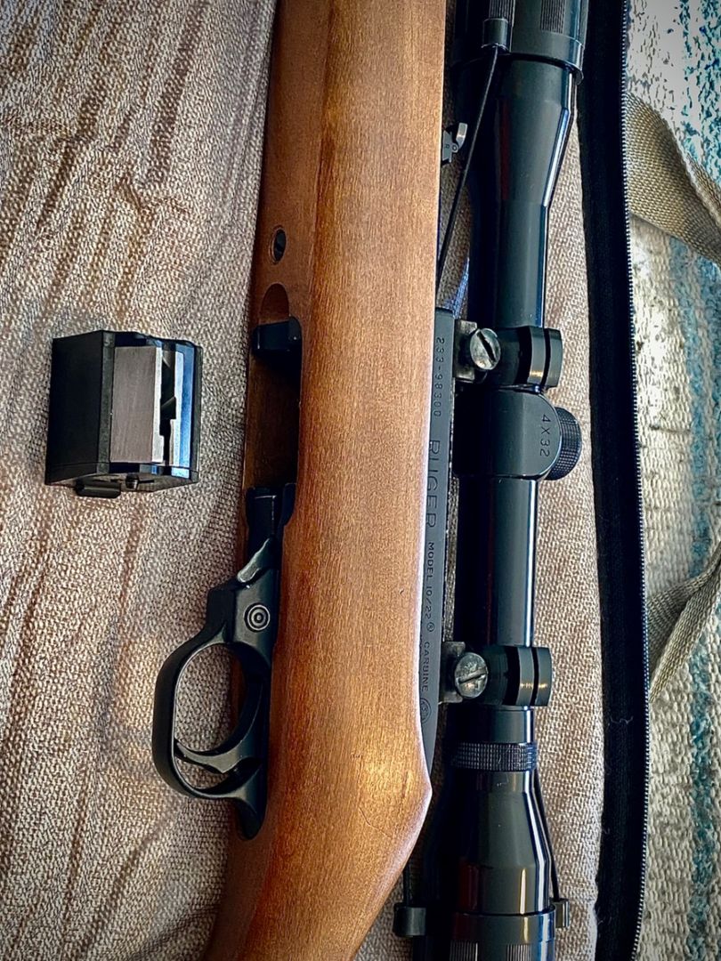 Ruger 10-22 Semi-Auto. 