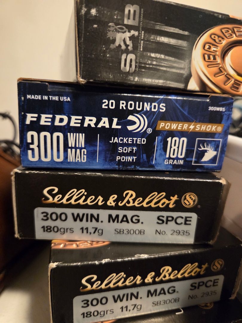 .300 Win mag ammo 2