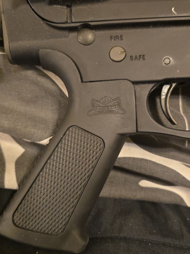 Palmetto State Armory PA10 Gen 3 4