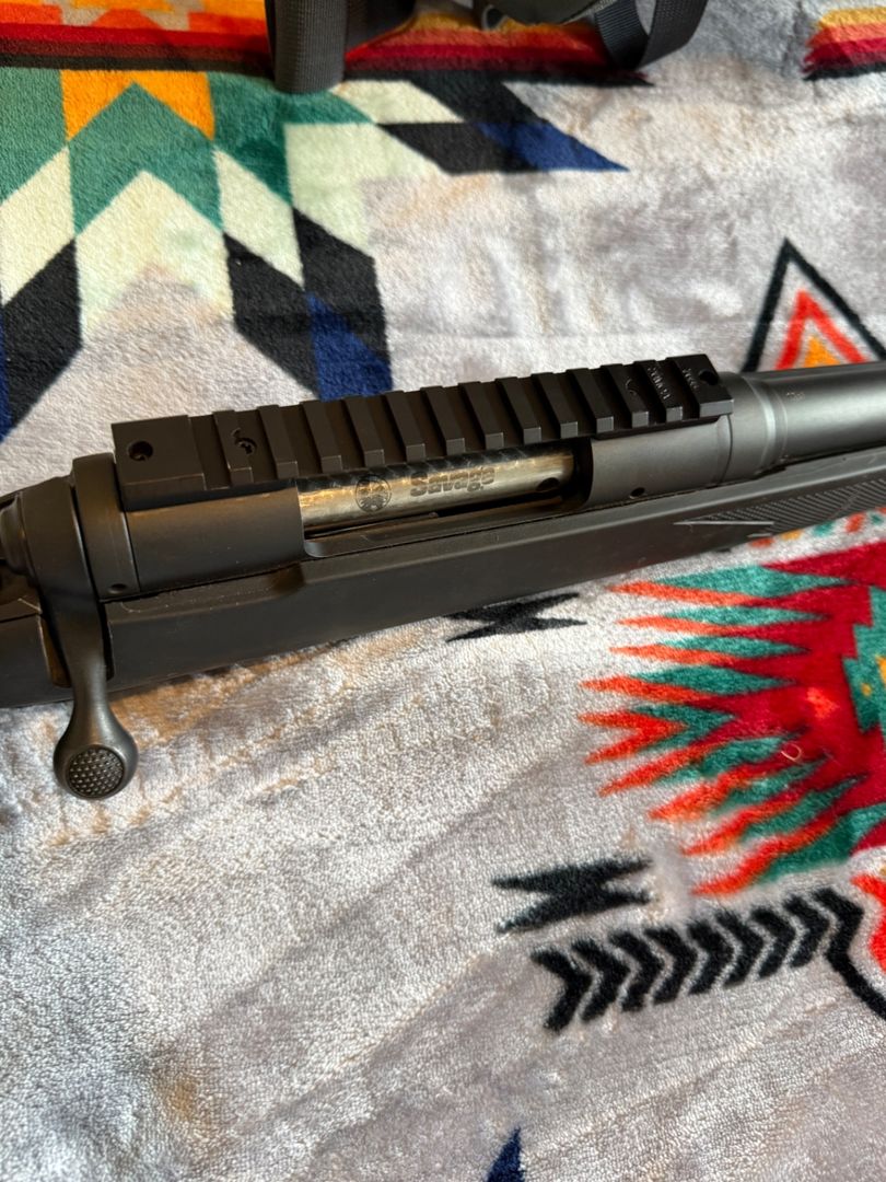 300 wsm &78 rounds of ammo  2