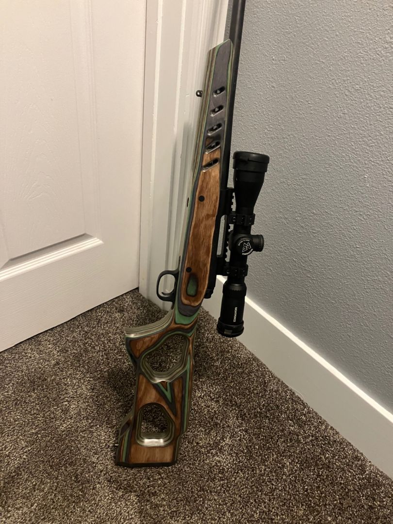 270 Winchester short mag 2