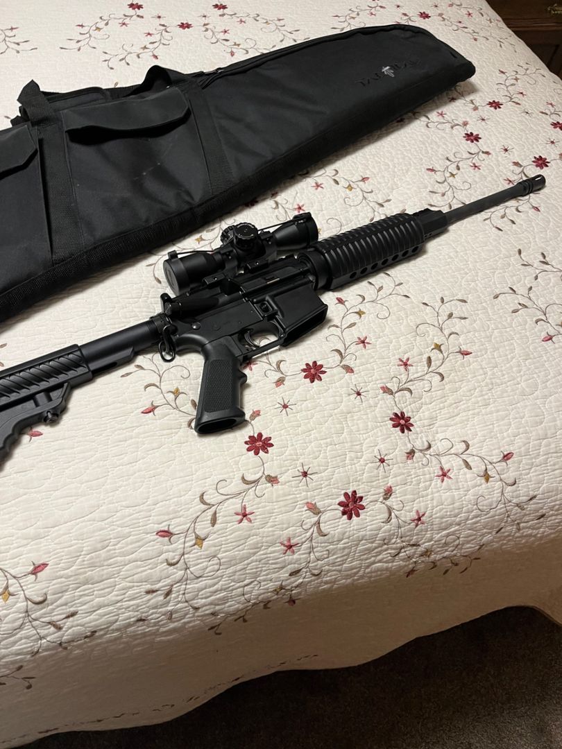 Panther arms ar15. 223