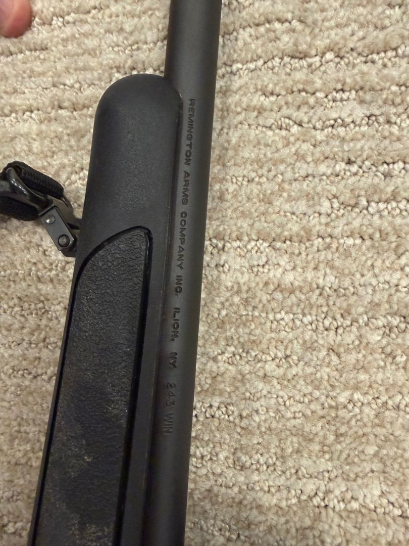 Remington 700 .243  2