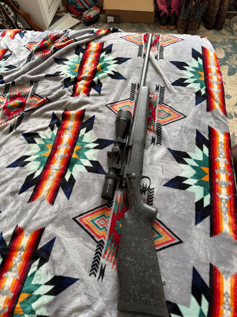 Remington 700LR  25-06 