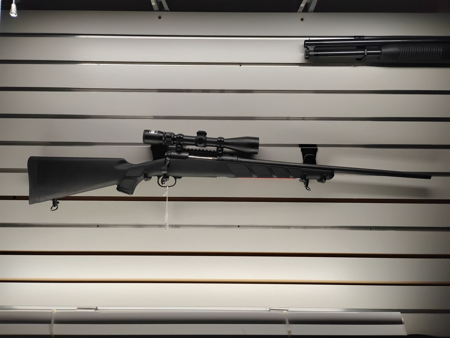 Savage Arms- 11 / .204 Ruger Bolt Action Rifle