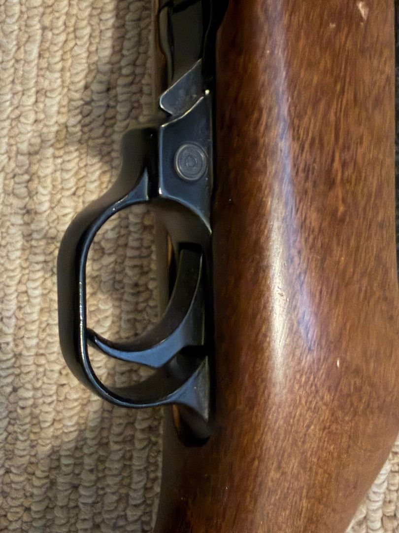 Ruger 10/22 Carbine 2