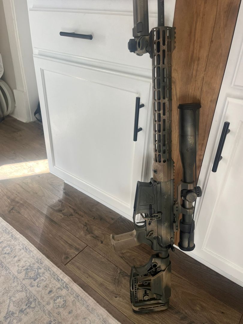 Aero Precision .308 Custom 2