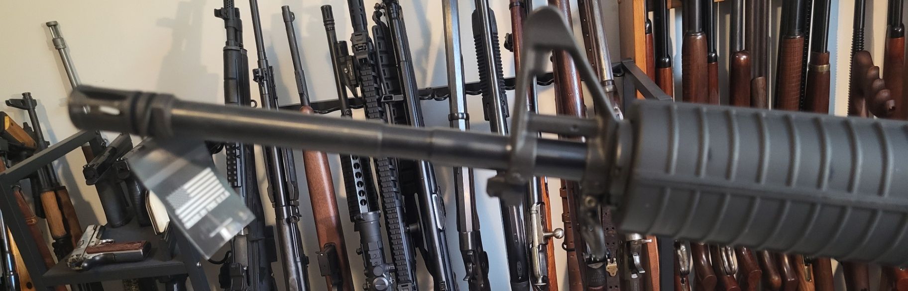 Bushmaster XM15-E2S  3