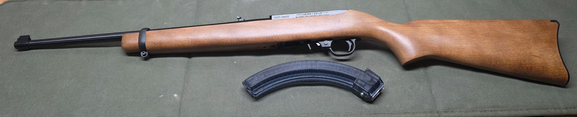 Ruger 22LR 2