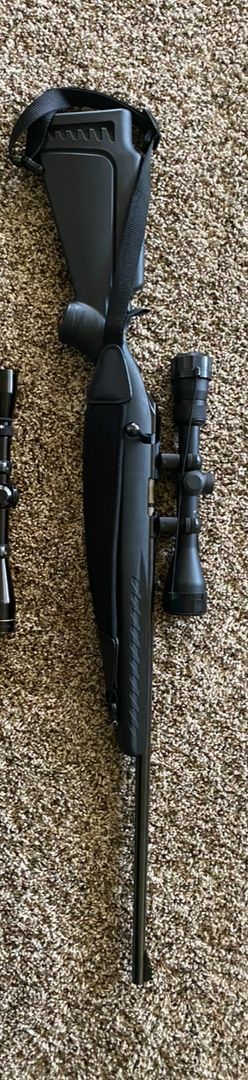Ruger American .17 HMR 