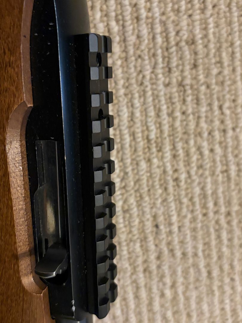 Ruger 10/22 Carbine 4