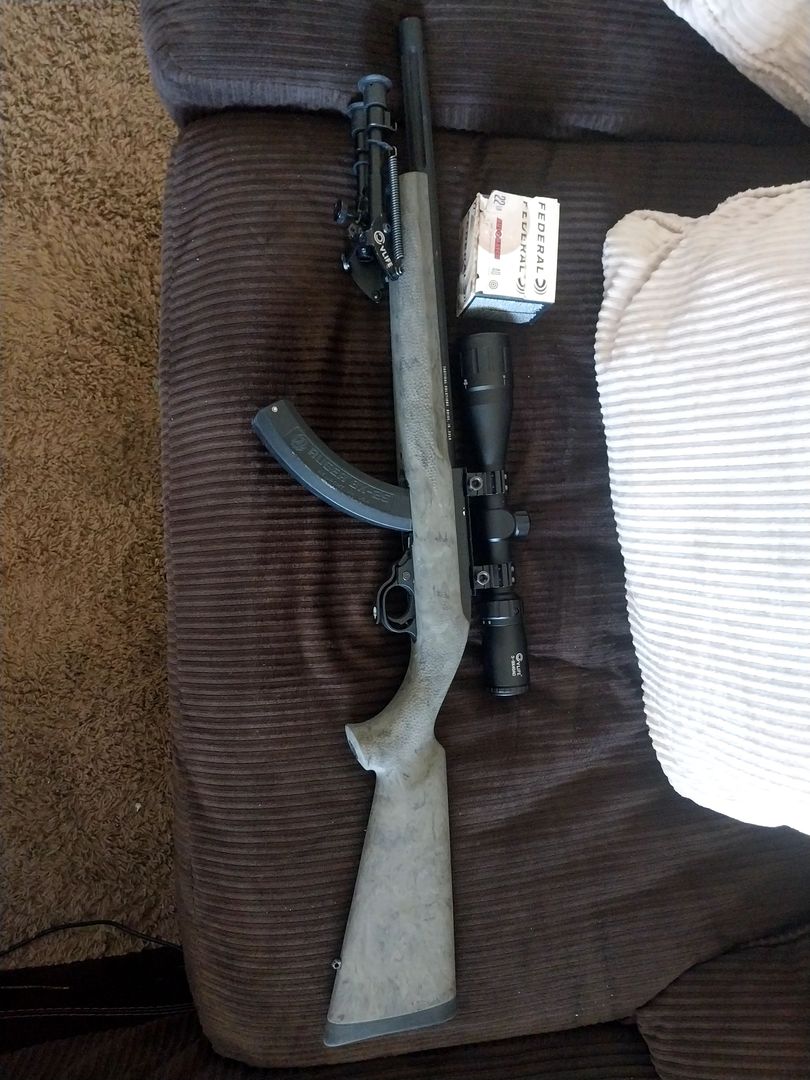 Ruger 10/22 3
