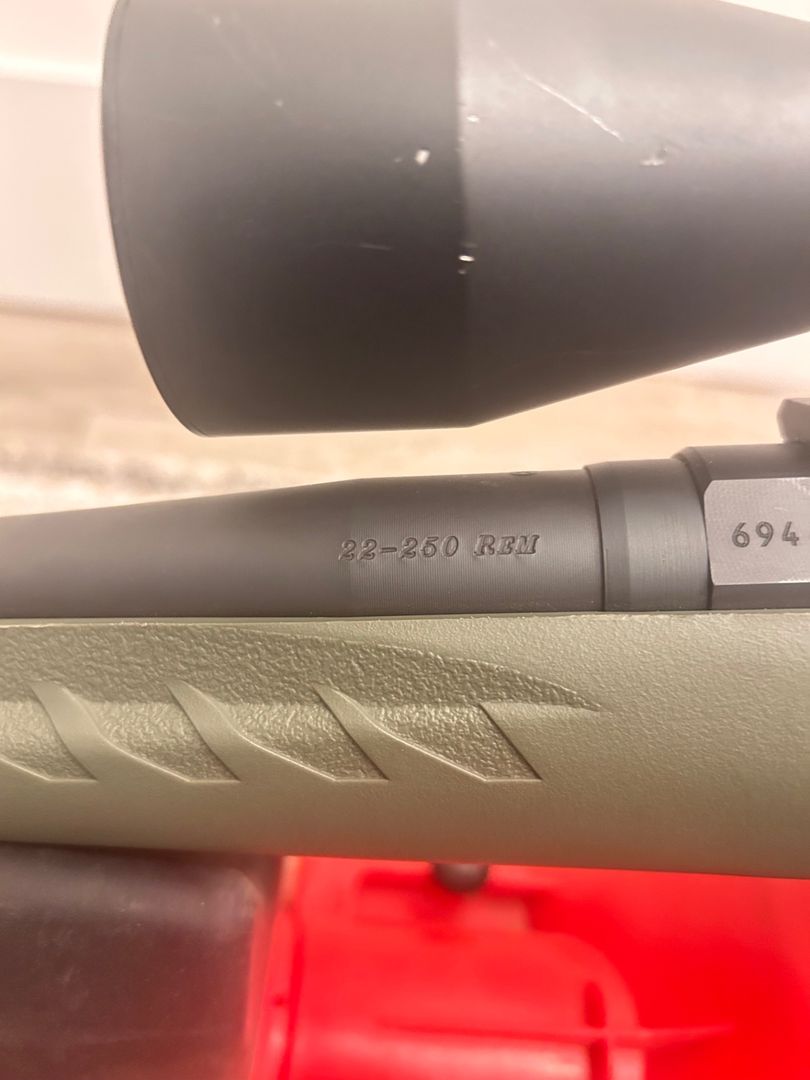 22-250 Ruger American  5