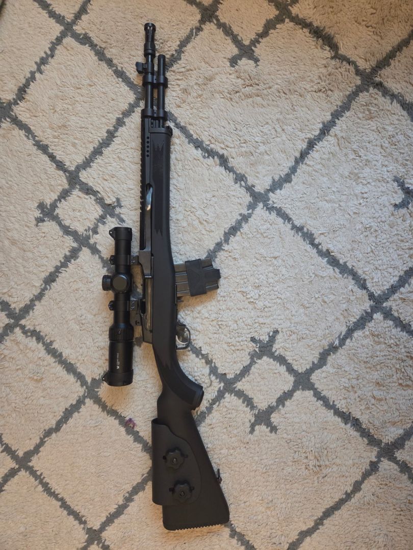 Ruger Mini 14 2
