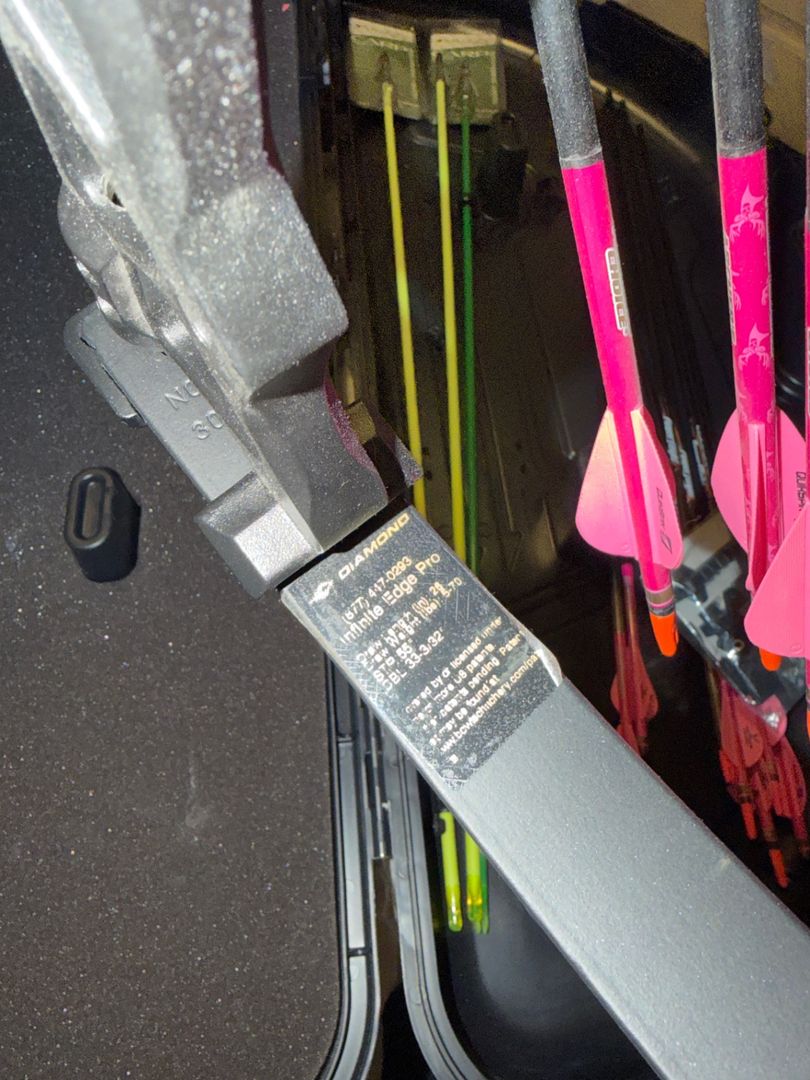 Bow fishing set up 3