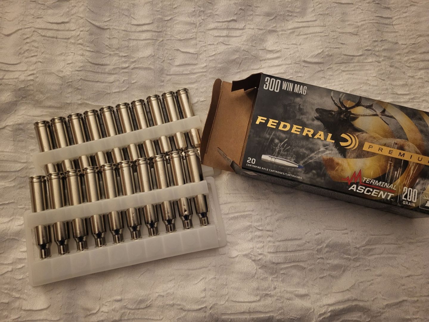 300 win mag Federal Premium Terminal Ascent  2