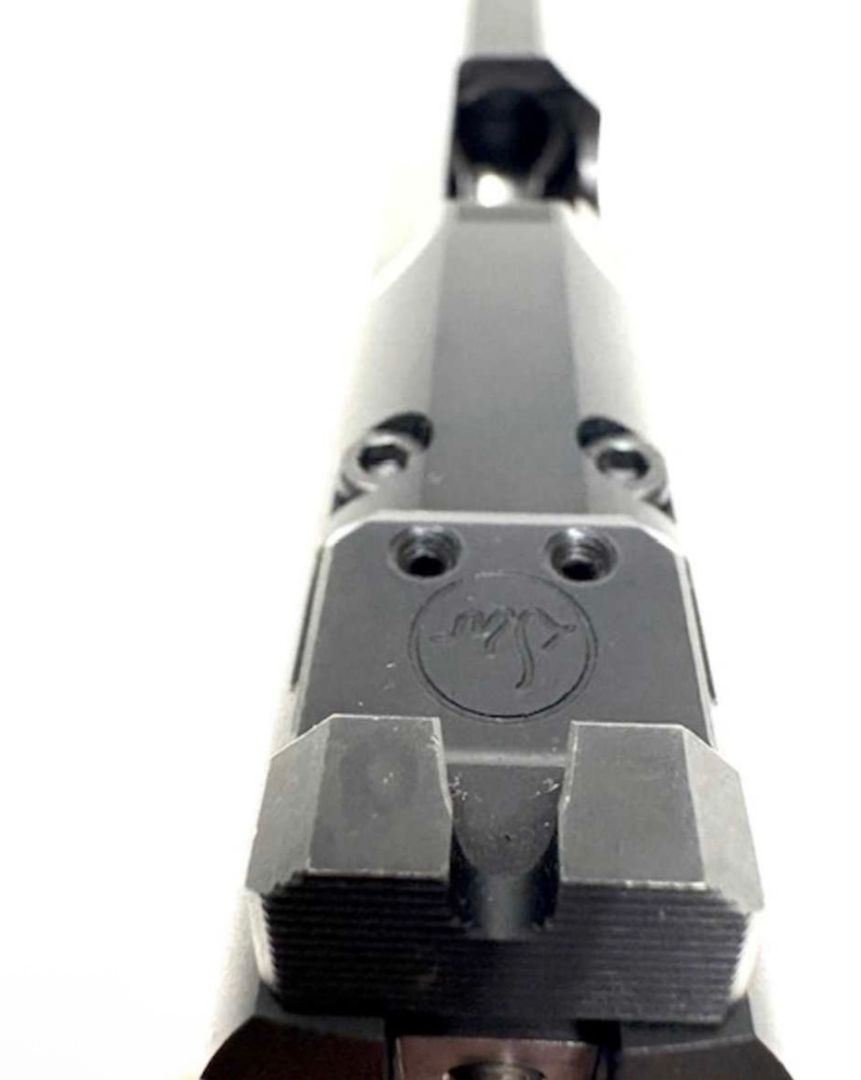 Dan Wesson TCP .45 1911 optics ready 5