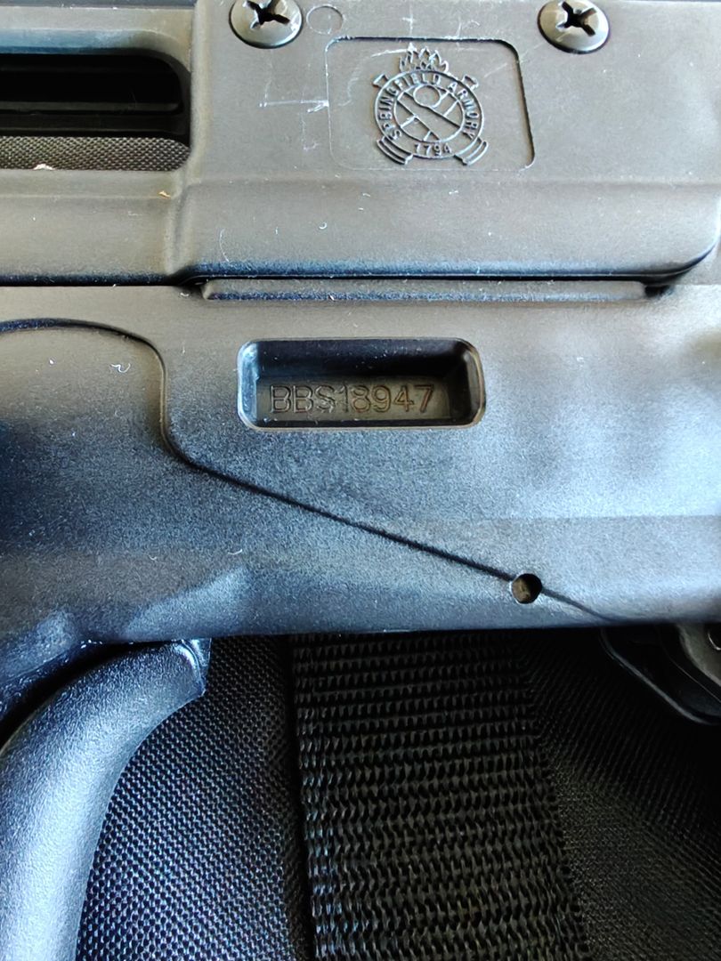 Springfield Armory Hellion 4