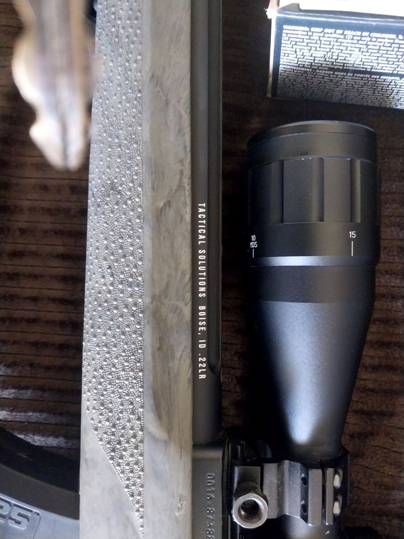 Ruger 10/22