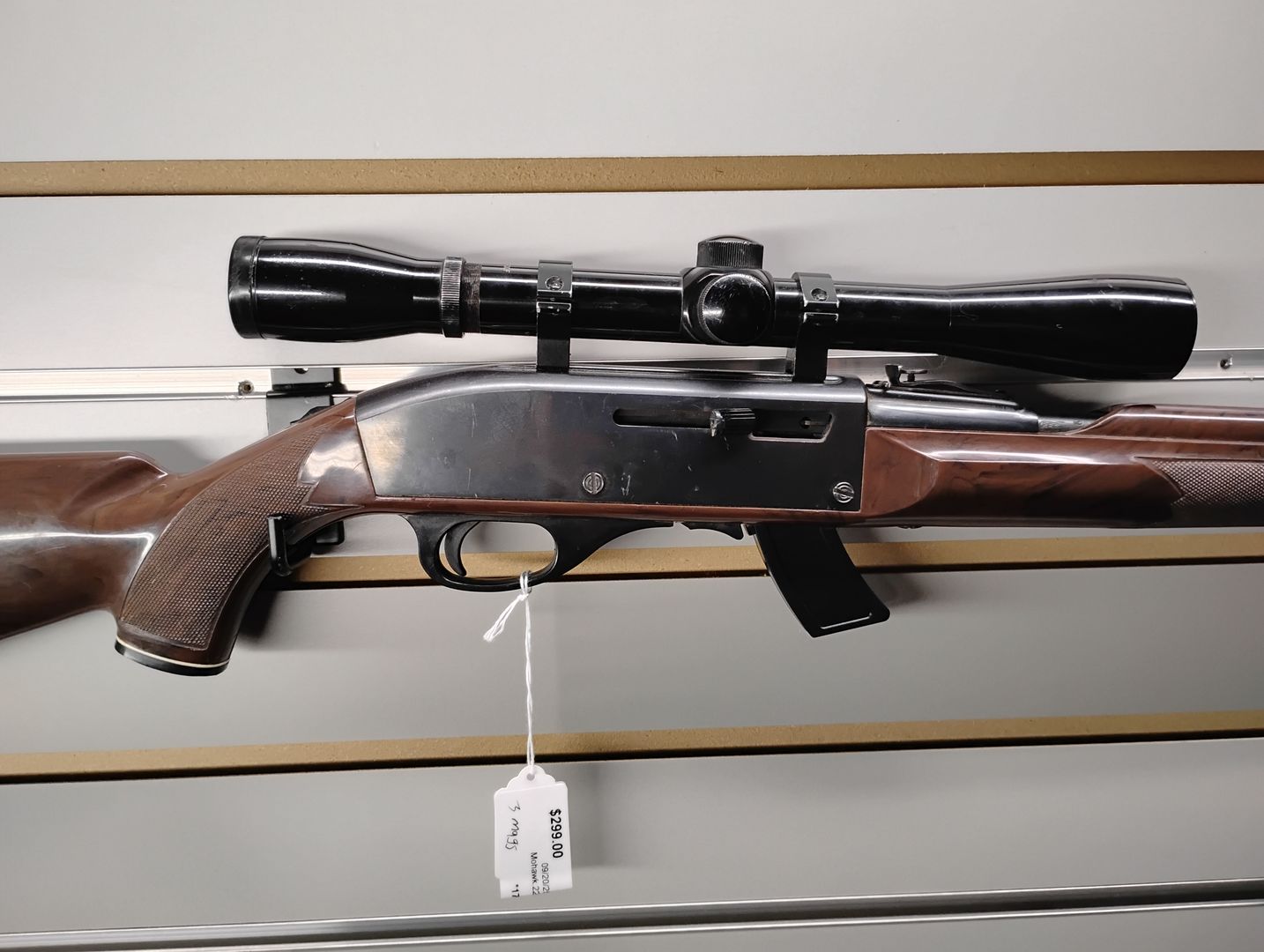 Remington Mohawk Nylon 66 - 14 Round Semi-Auto Rifle 4