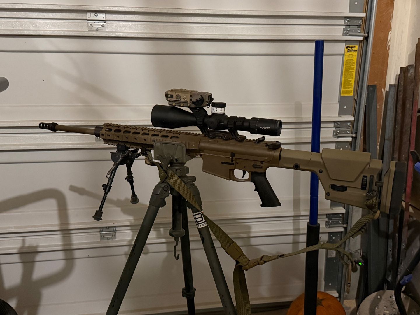 Hog Saddle PIG 0311-B 3