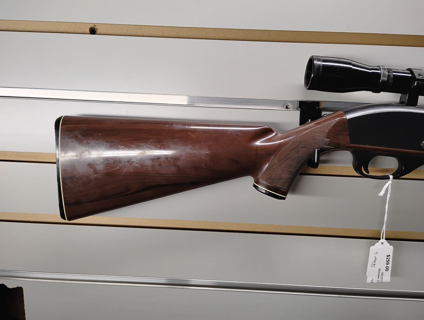 Remington Mohawk Nylon 66 - 14 Round Semi-Auto Rifle 2