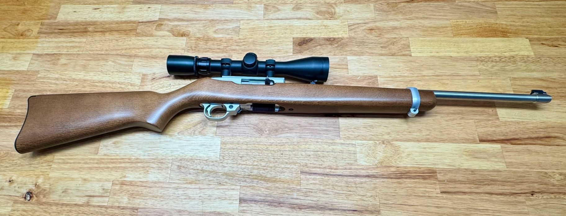 Ruger 10/22 Stainless 