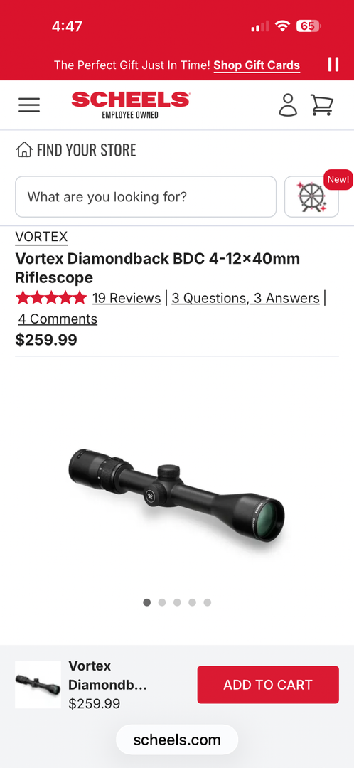 Bergera Hunter wilderness  5