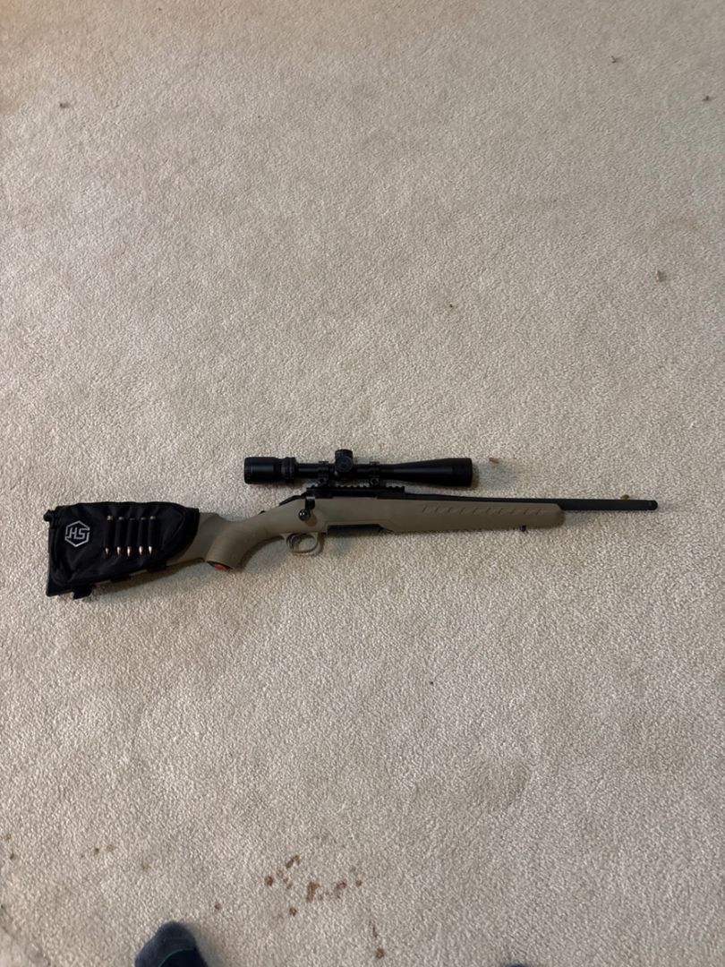 Ruger ranch 556-223 WTT