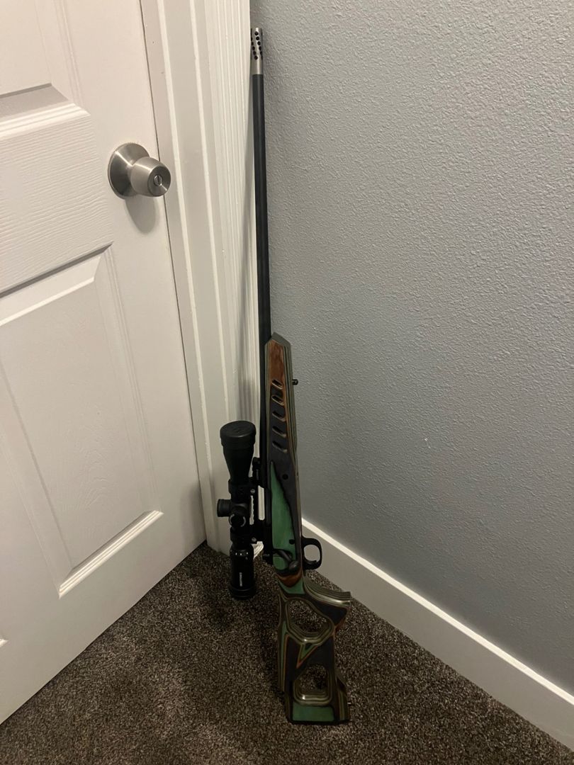 270 Winchester short mag 4