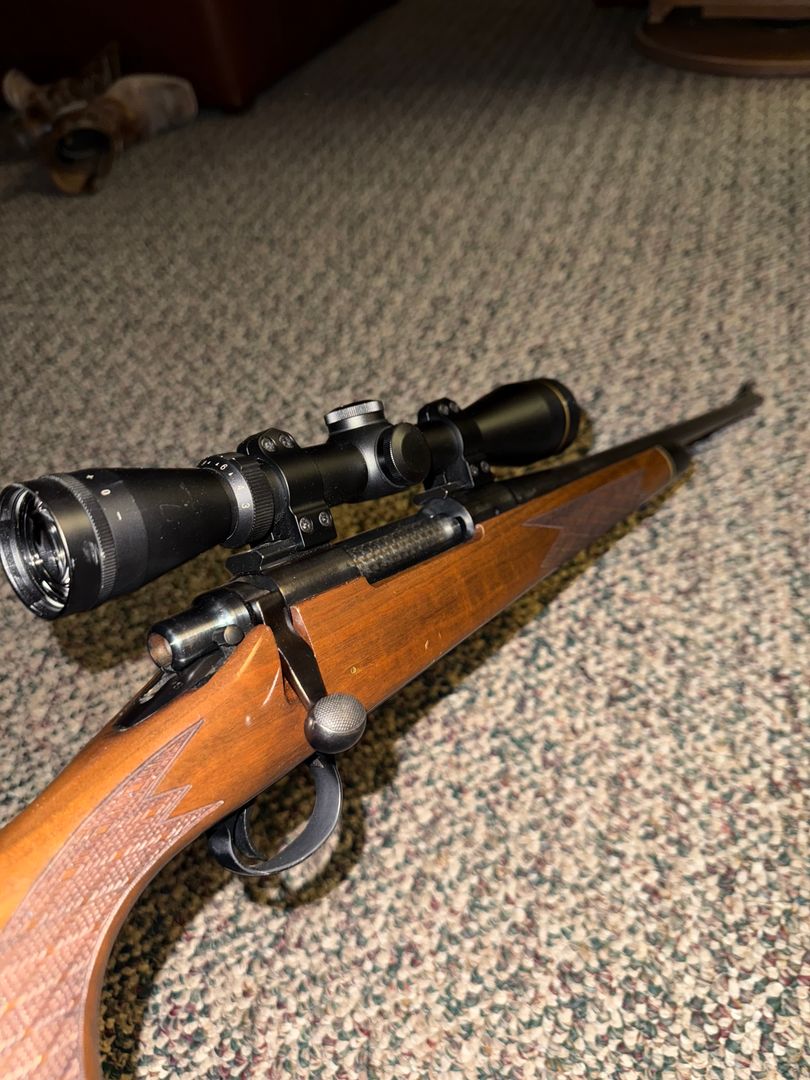 .270 Remington 700 BDL