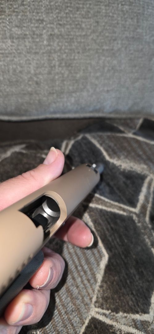 Davidson's exclusive ruger sr1911