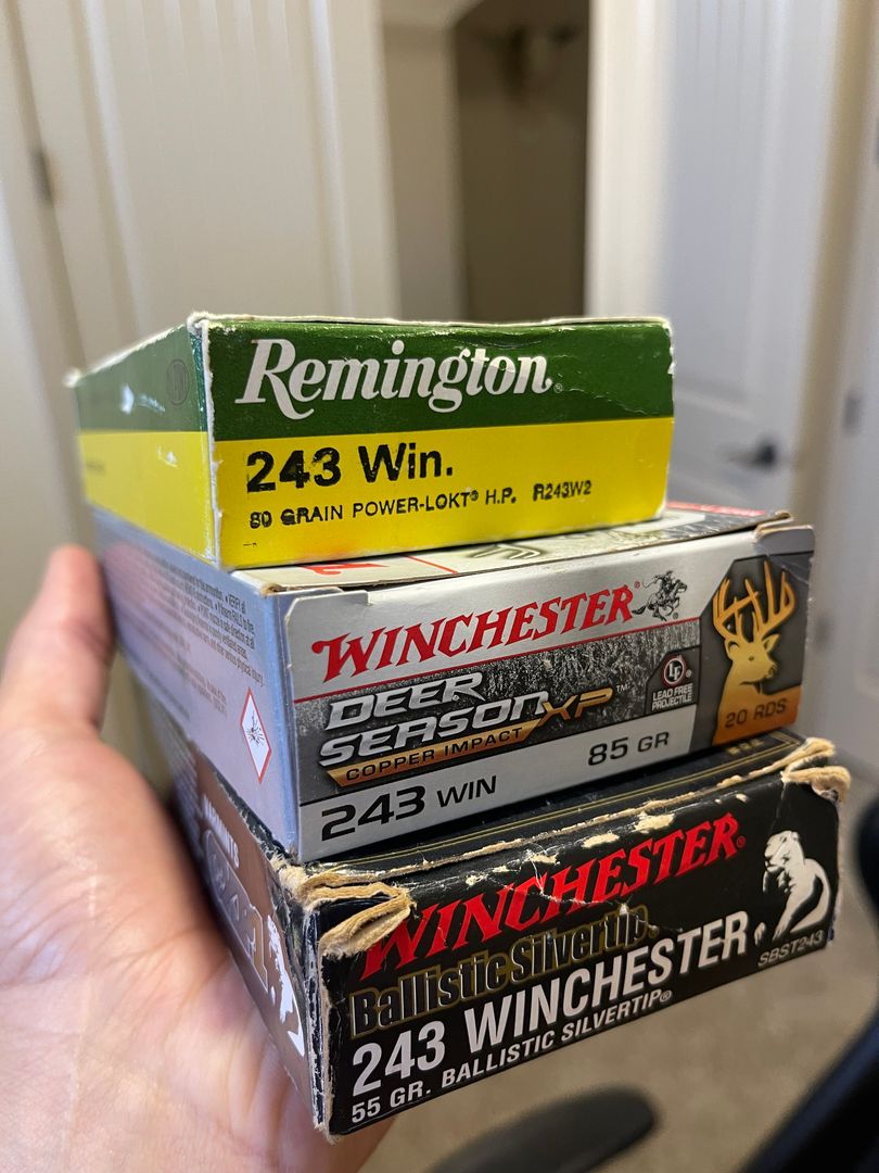 243 & 22 & 20 guage  5