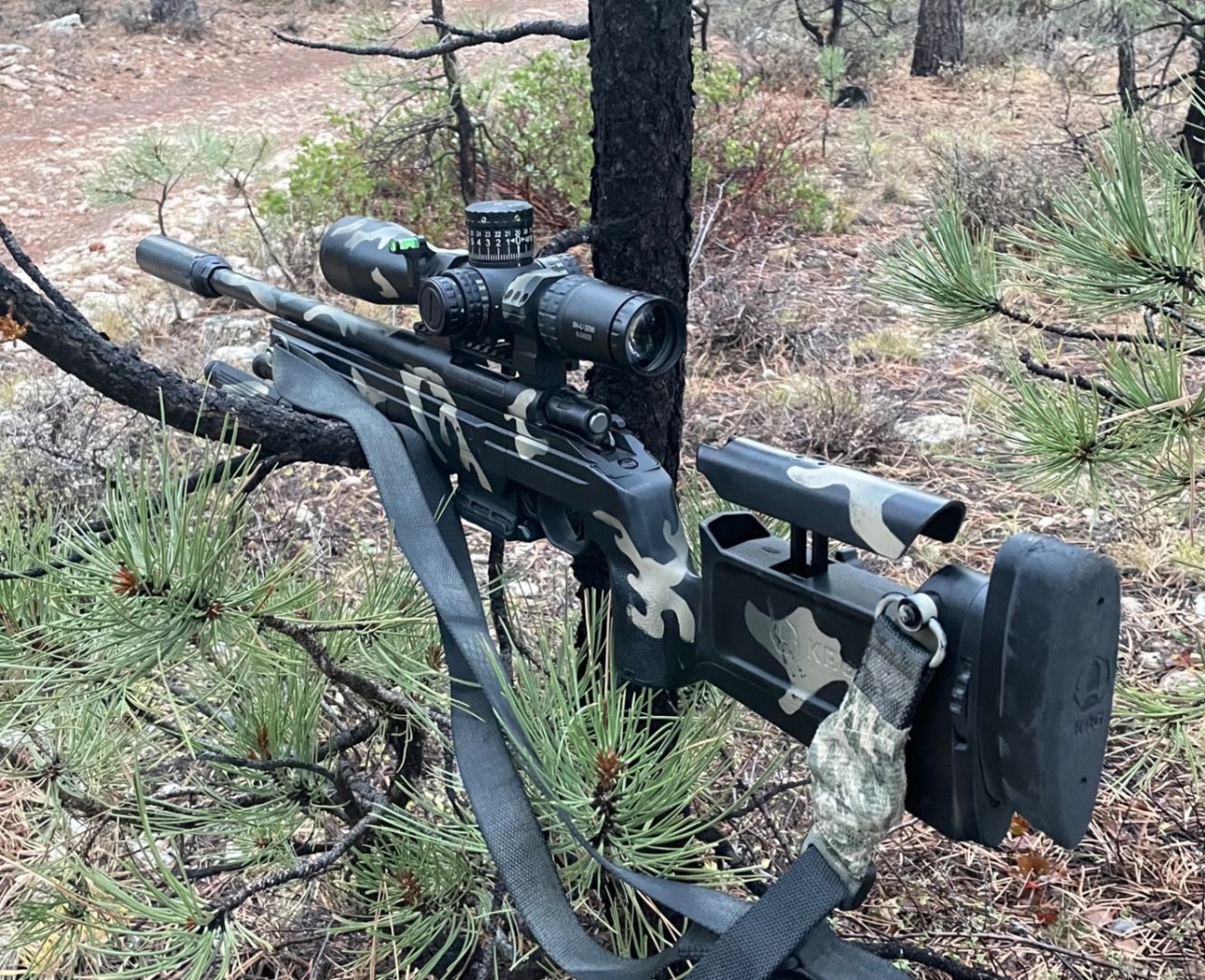 Howa 1500/KRG Bravo Chassis  4